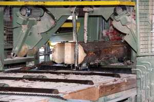 Saegewerk Harrer Holz in Ascholding